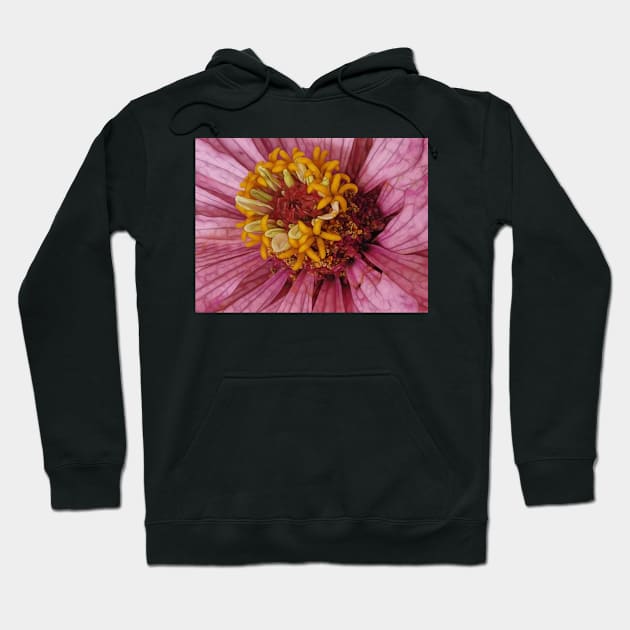 close-up of a single zinnia flower bloom in pink floral fantasy Hoodie by mister-john